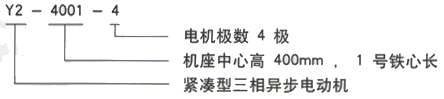 YR系列(H355-1000)高压YR5004-4三相异步电机西安西玛电机型号说明